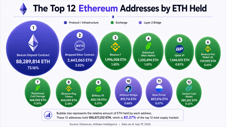 Ethereum's top 12 wallets.